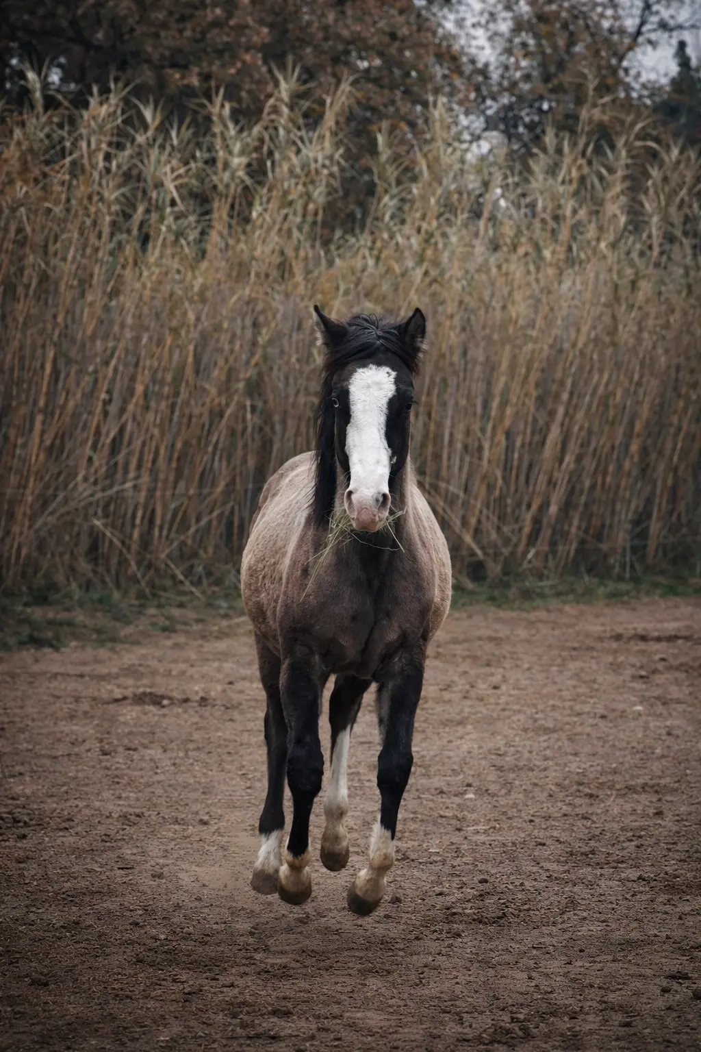 file_0000000074ac720aa2211014e213d63b